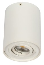 RING CEILING — spot aplicat orientabil